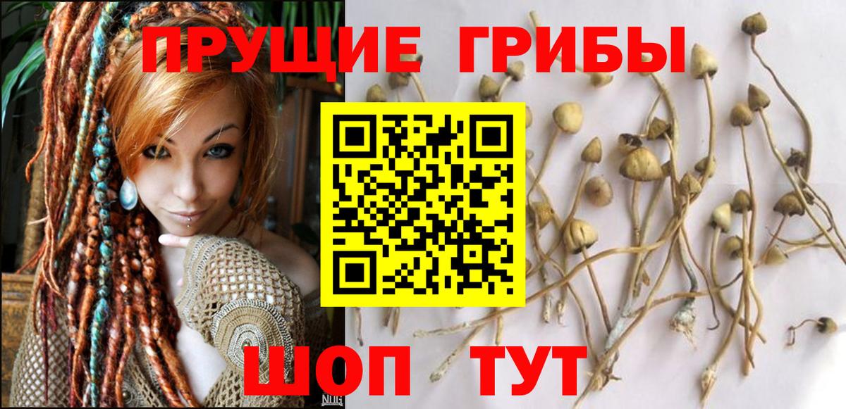 Псилоцибиновые грибы мицелий  Вход с VPN  Астрахань 